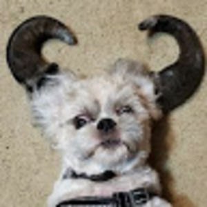 Meet your Posher, Keith